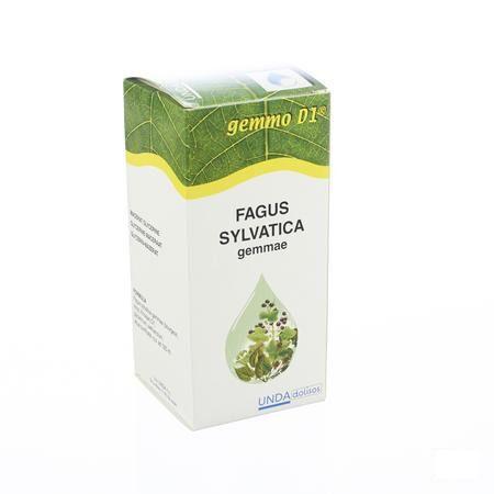 Fagus Sylvatica Gemmo D1 125 ml  -  Boiron