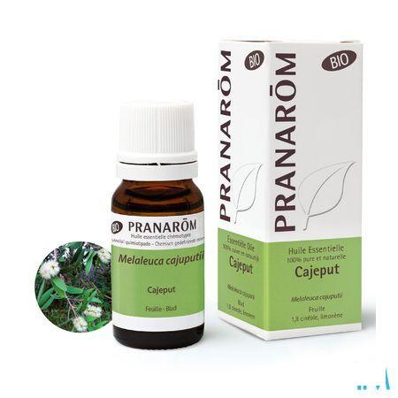 Cajeput Bio Essentiele Olie 10 ml  -  Pranarom