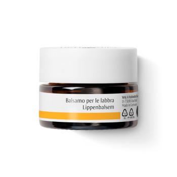 Dr.Hauschka Baume pour les Lèvres 5 ml   -  Wala Nederland