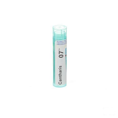 Cantharis 7CH Gr 4g  -  Boiron