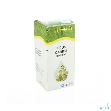 Ficus Carica Gemmo D1 125 ml  -  Boiron