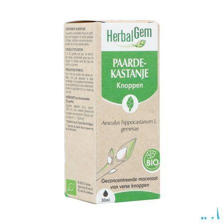 Herbalgem Wilde Kastanje Bio 30 ml