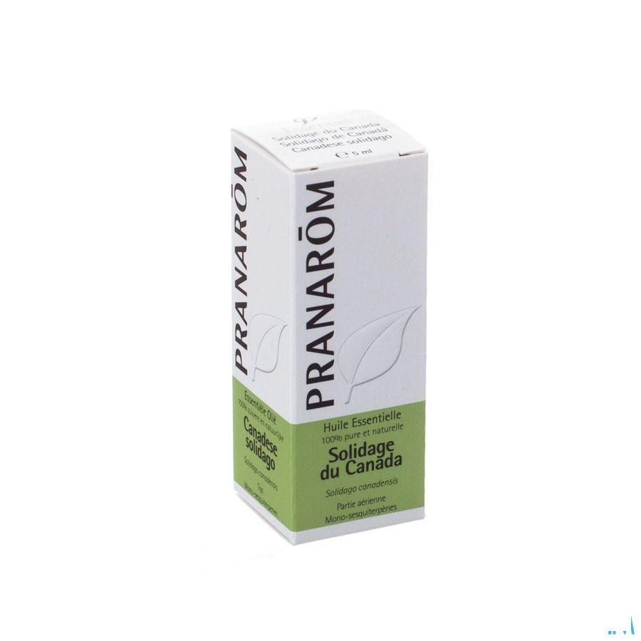 Solidage Du Canada Huile Essentielle 5 ml  -  Pranarom