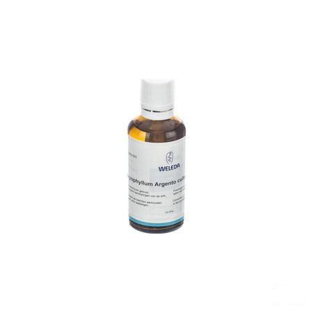 Bryophyllum Ag D2 Gutt 50 ml  -  Weleda