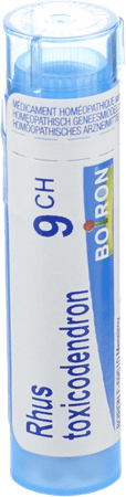 Rhus Toxicodendron 9CH Gr 4g  -  Boiron