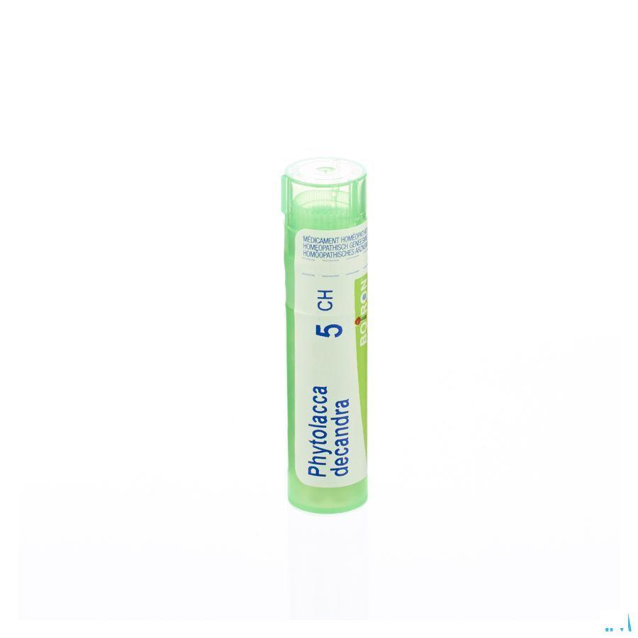 Phytolacca Decandra 5CH Gr 4g  -  Boiron