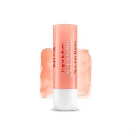 Weleda Lippenbalsem Everon Stick 4g  -  Weleda