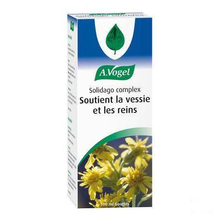 Vogel Solidago Complex Druppels 100 ml  -  A.vogel