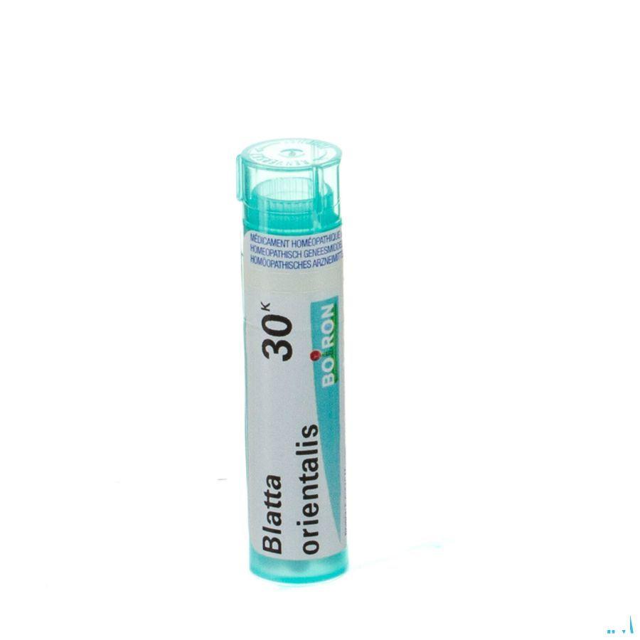 Blatta Orientalis 30K Gr 4g  -  Boiron