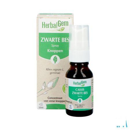 Herbalgem Zwarte Bes Bio Spray 15 ml