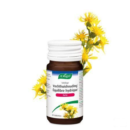 Vogel Solidago Forte Pot 60x400 mg  -  A.vogel