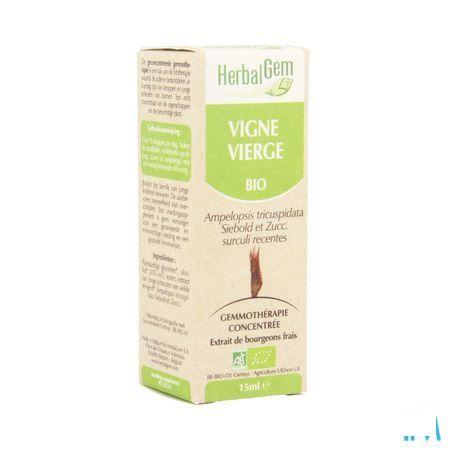 Herbalgem Wilde Wingerd Maceraat 15 ml  -  Herbalgem