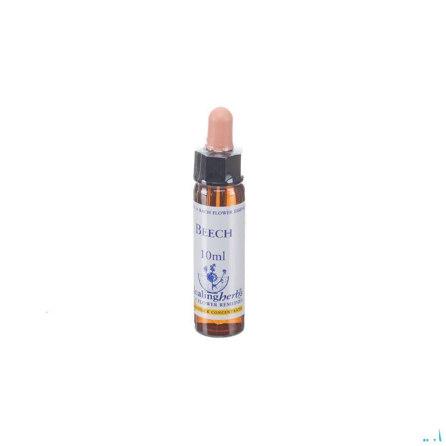 Healing Herbs Beech 10 ml