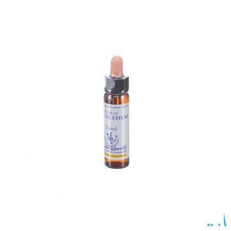 Healing Herbs Star Bethlehem 10 ml