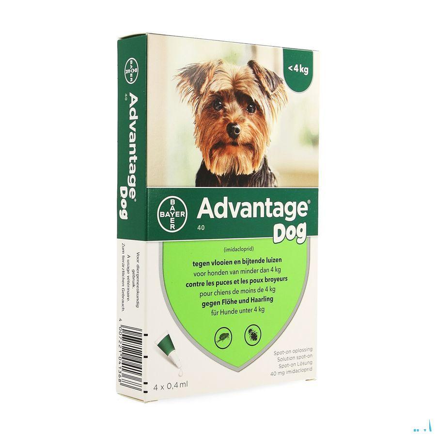 Advantage 40 Chiens 