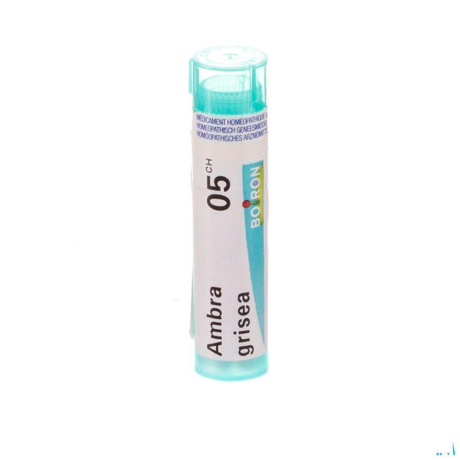 Ambra Grisea 5CH Gr 4g  -  Boiron