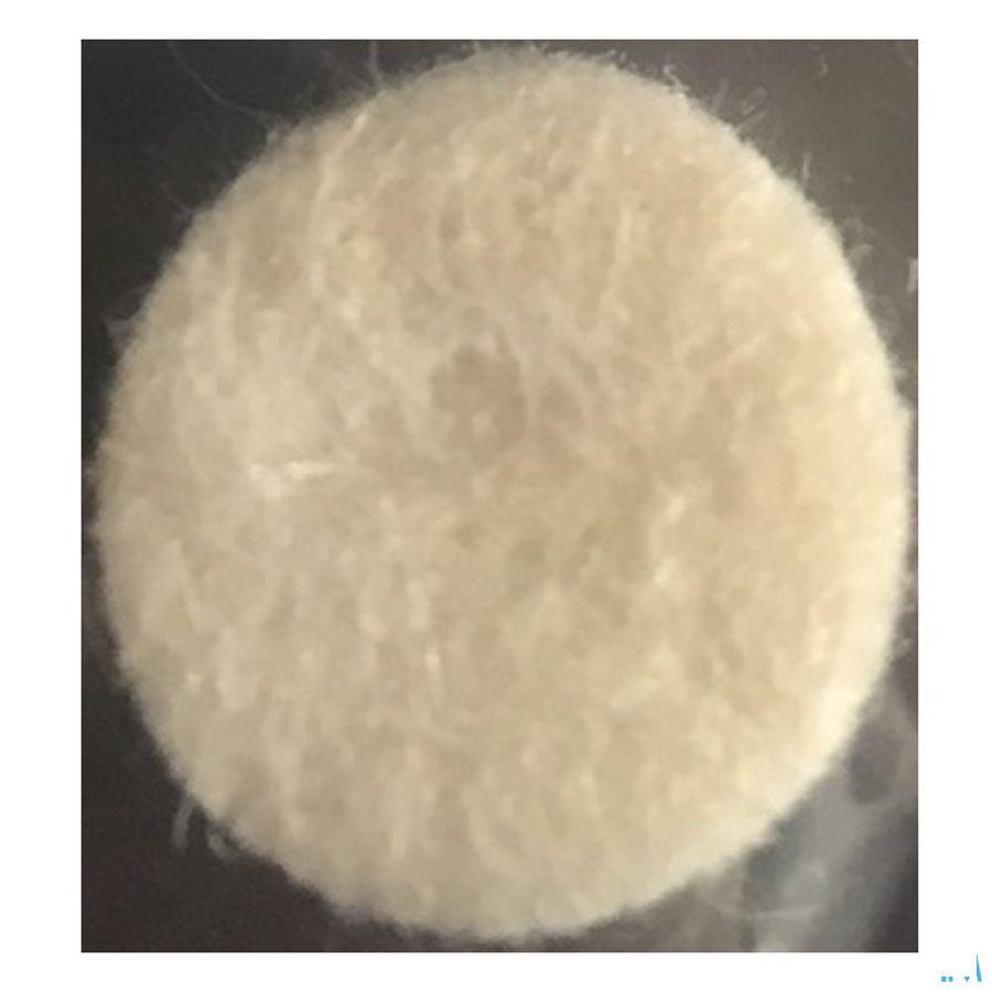 Aerosole Filt. Eureka Care Mr Aero.Neb Hi-Neb Drop  -  Eureka Pharma