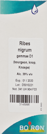 Ribes Nigrum Gemmo D1 60 ml  -  Boiron