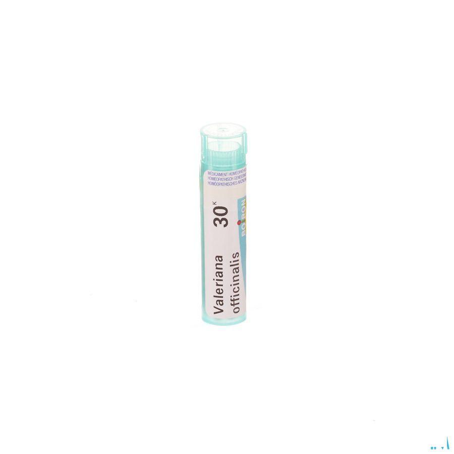 Valeriana Officinalis 30K Gr 4g  -  Boiron