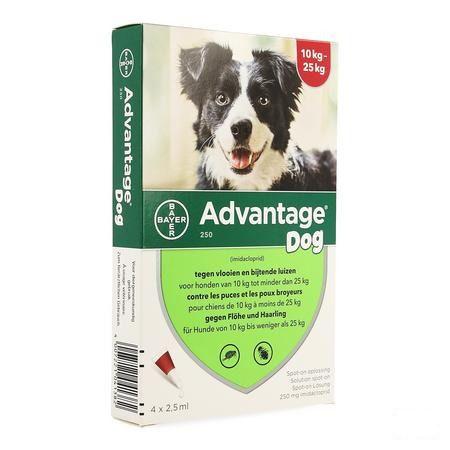 Advantage 250 Chiens 10