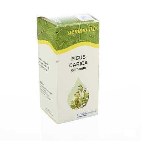 Ficus Carica Gemmo D1 125 ml  -  Boiron