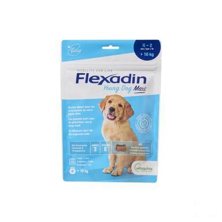 Flexadin Young Dog Maxi Chew 60