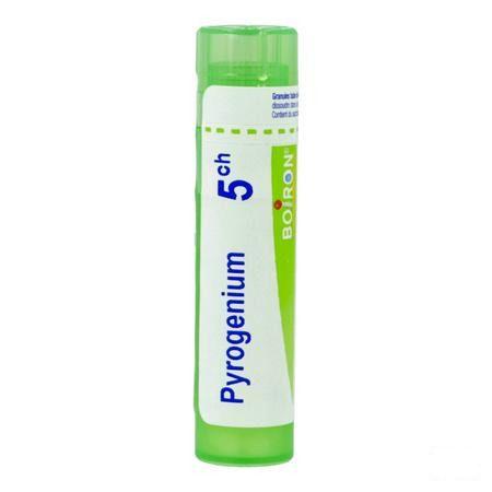 Pyrogenium 5CH Gr 4g  -  Boiron