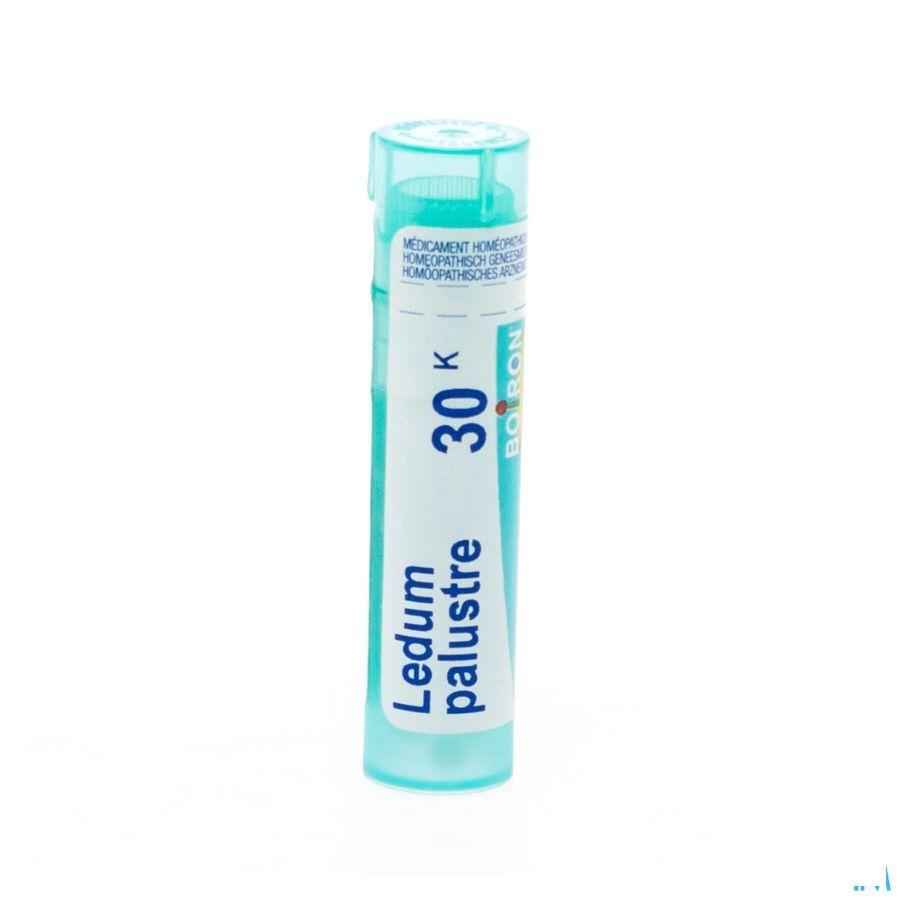 Ledum Palustre 30K Gr 4g  -  Boiron