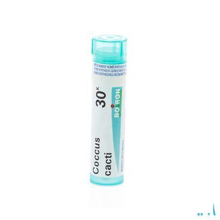 Coccus Cacti 30K Gr 4g  -  Boiron