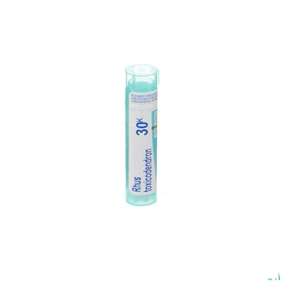 Rhus Toxicodendron 30K Gr 4g  -  Boiron