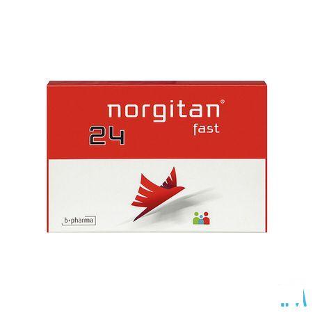 Norgitan Fast 24 Tabletten 24