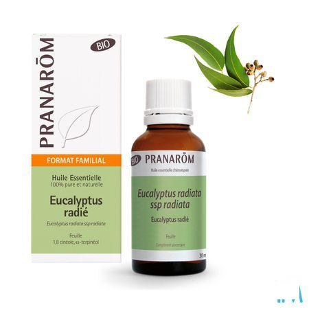 Eucalyptus Radie Bio Essentiele Olie 30 ml  -  Pranarom