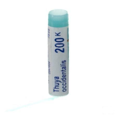 Thuya Occidentalis 200K Gl  -  Boiron