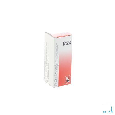 Reckeweg Dr. R24 Druppels 50 ml  -  Nut-Hom-Phyt