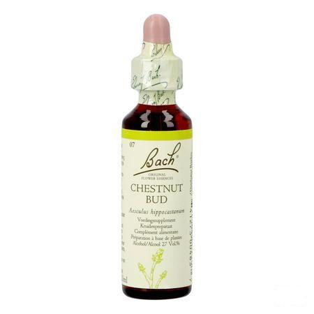 Bach Flower Remedie 07 Chestnut Bud 20 ml