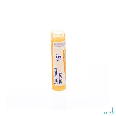 Lachesis Mutus 15CH Gr 4g  -  Boiron