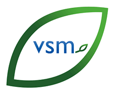 Vsm