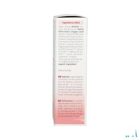 Weleda Tandvleesbalsem Tube 30 ml 0636670  -  Weleda