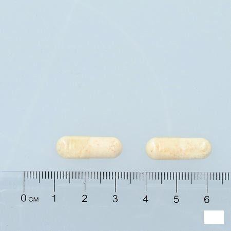 Bactecal D Caps 90