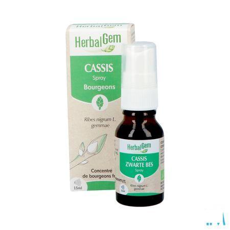 Herbalgem Zwarte Bes Bio Spray 15 ml