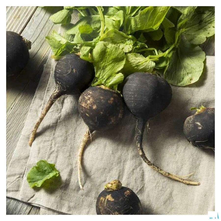 Zwarte Radijs Bio Ampullen 20x10 ml Fitoform  -  Bioholistic Diffusion