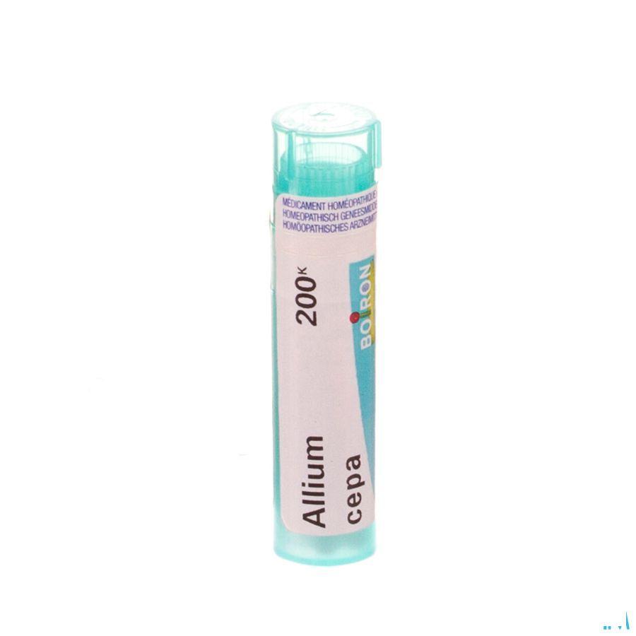 Allium Cepa 200K Gr 4g  -  Boiron
