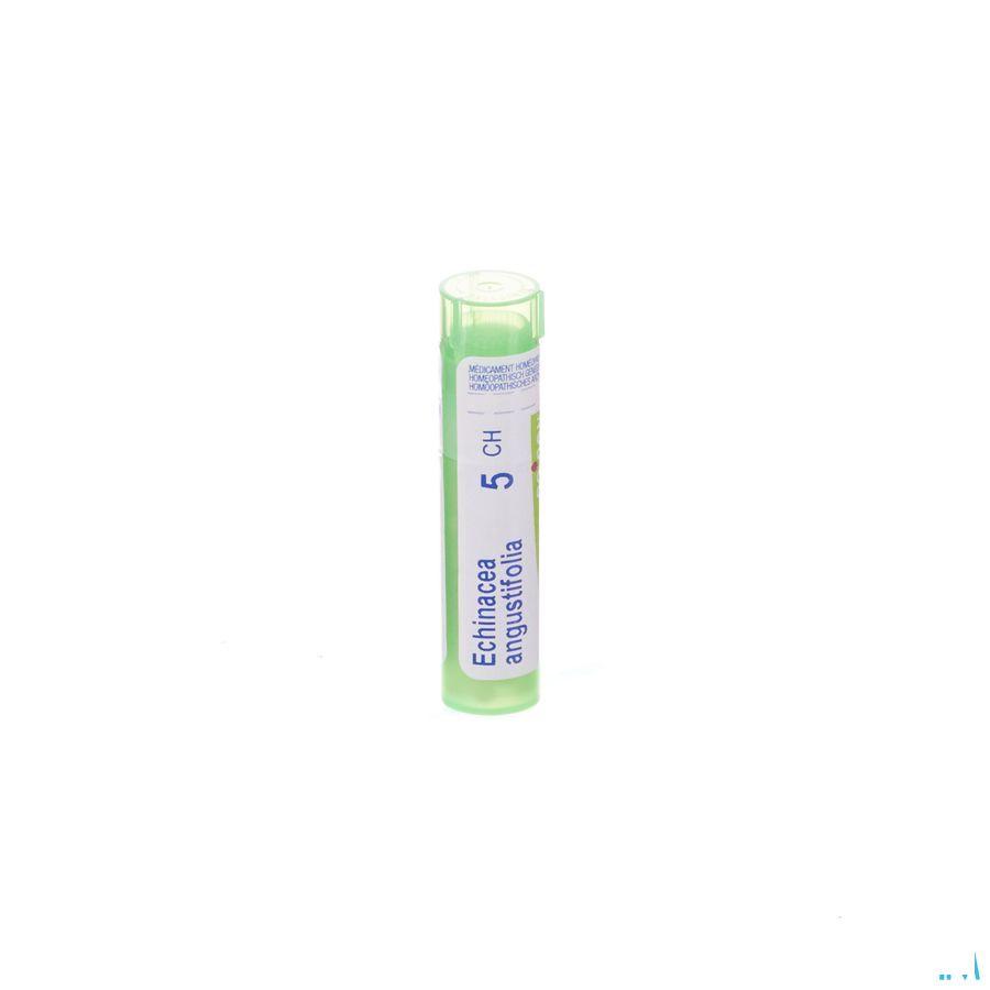 Echinacea Angustifolia 5CH Gr 4g  -  Boiron