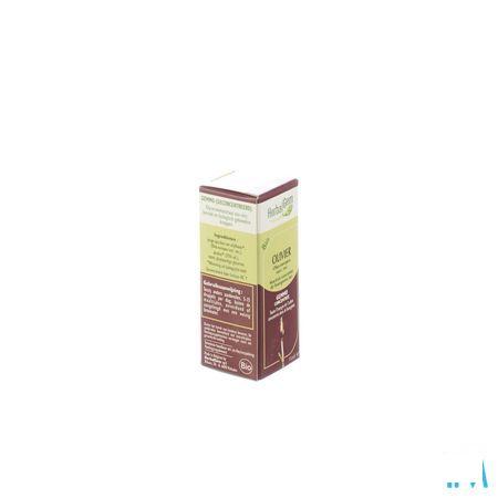 Herbalgem Olijfboom Maceraat 15 ml  -  Herbalgem