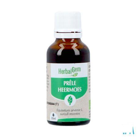 Herbalgem Heermoes Bio 30 ml