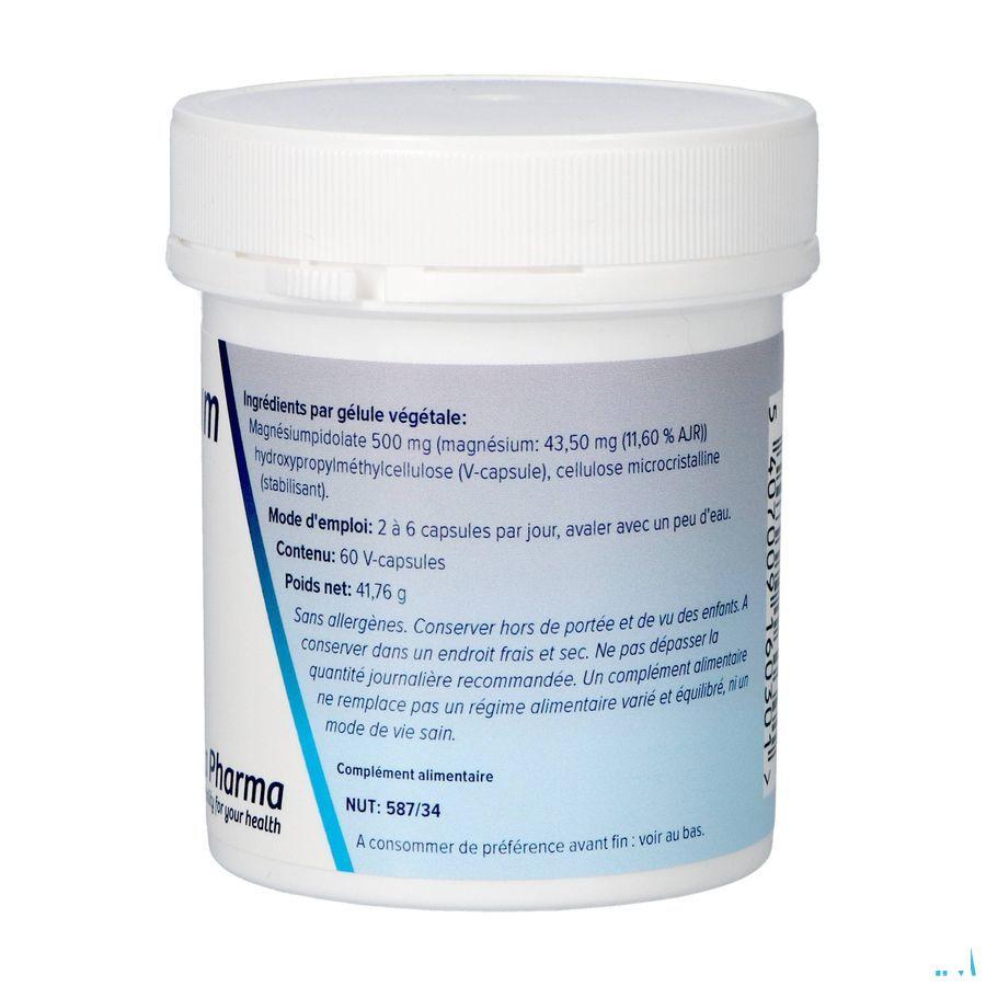 Magnesiumpidolaat V-Capsule 60x500 mg  -  Deba Pharma