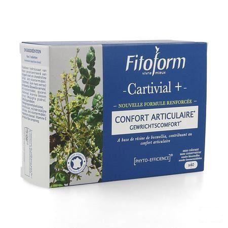 Cartivial+ Gewrichtscomfort Comp 40 Fitoform  -  Bioholistic Diffusion