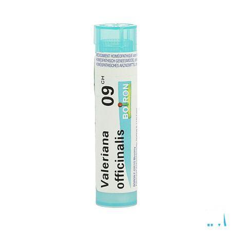 Valeriana Officinalis 9CH Gr 4g  -  Boiron