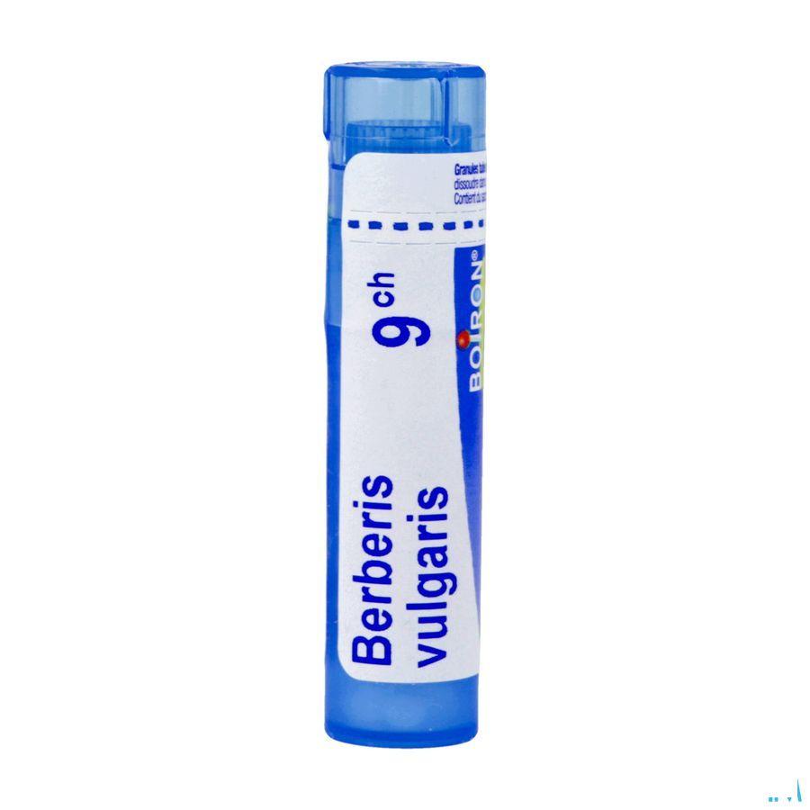 Berberis Vulgaris 9CH Gr 4g  -  Boiron