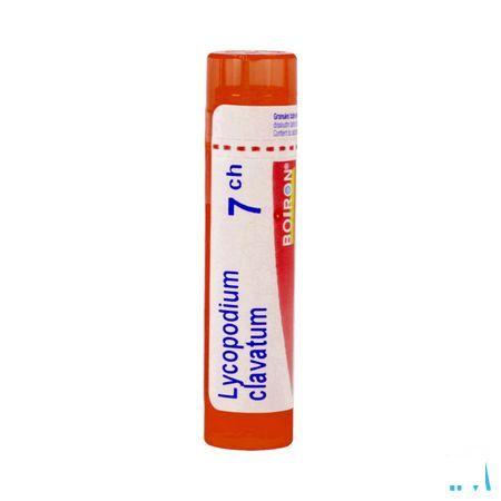 Lycopodium Clavatum 7CH Gr 4g  -  Boiron
